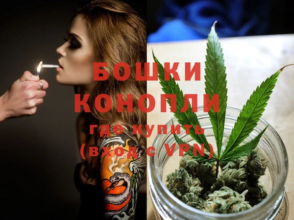 мдпв Гатчина