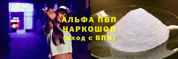 СК Осинники