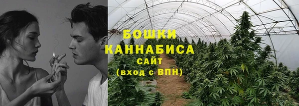 СК Осинники