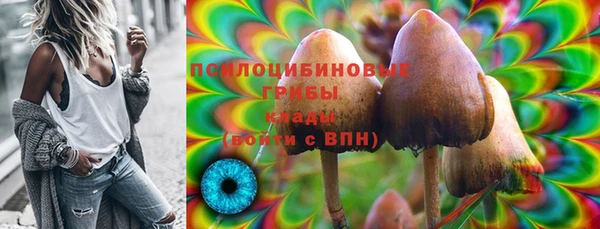мет Осташков