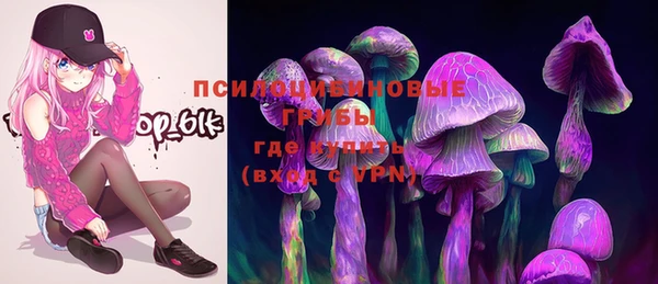 мет Осташков