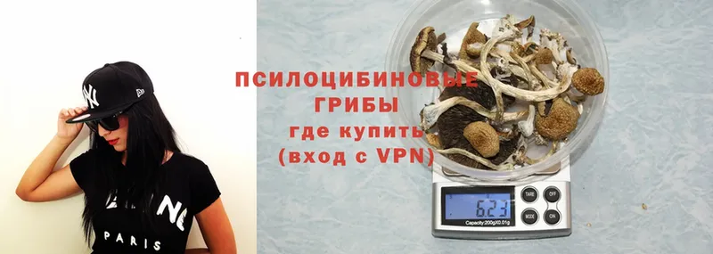 Галлюциногенные грибы GOLDEN TEACHER  Лихославль 